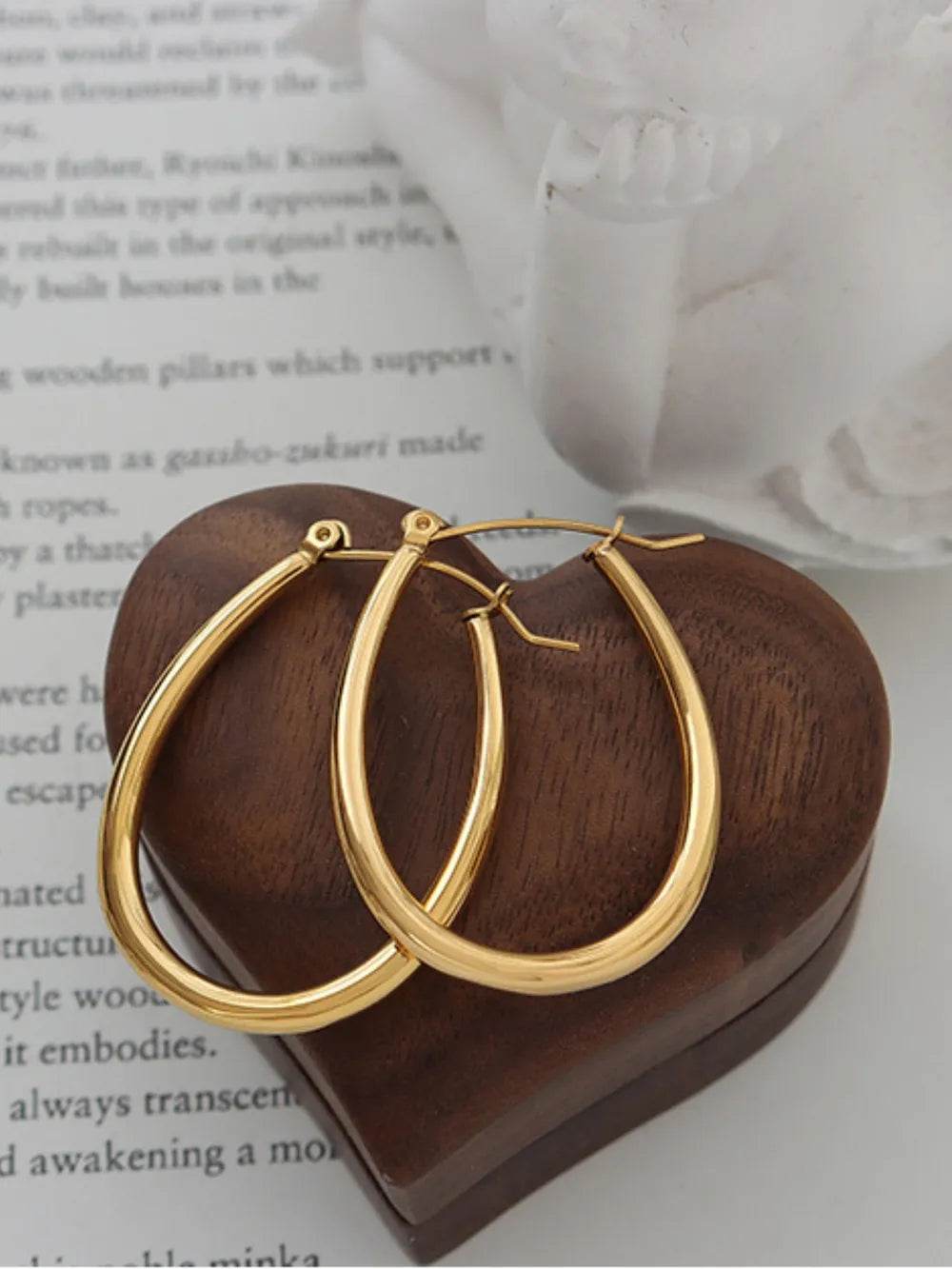 18K Gold-Plated Titanium Steel Earrings - ELY VESSA LLC