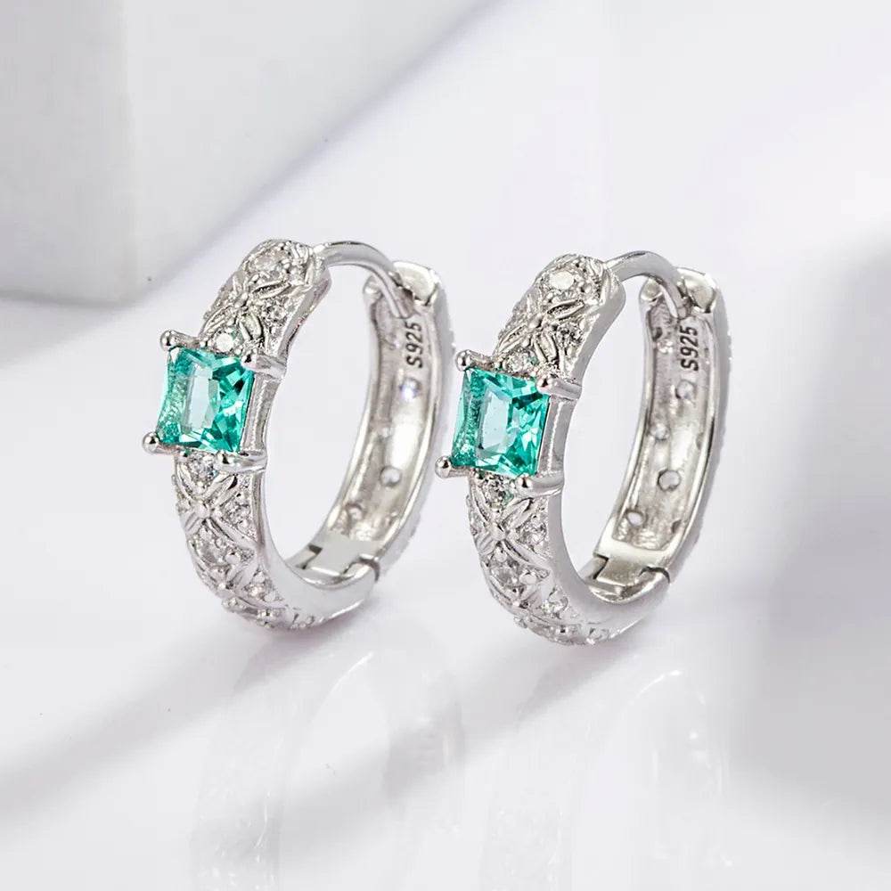 925 Sterling Silver Inlaid Zircon Earrings - ELY VESSA LLC