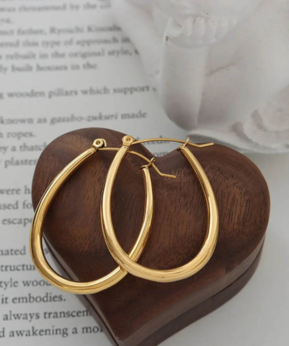 18K Gold-Plated Titanium Steel Earrings - ELY VESSA LLC